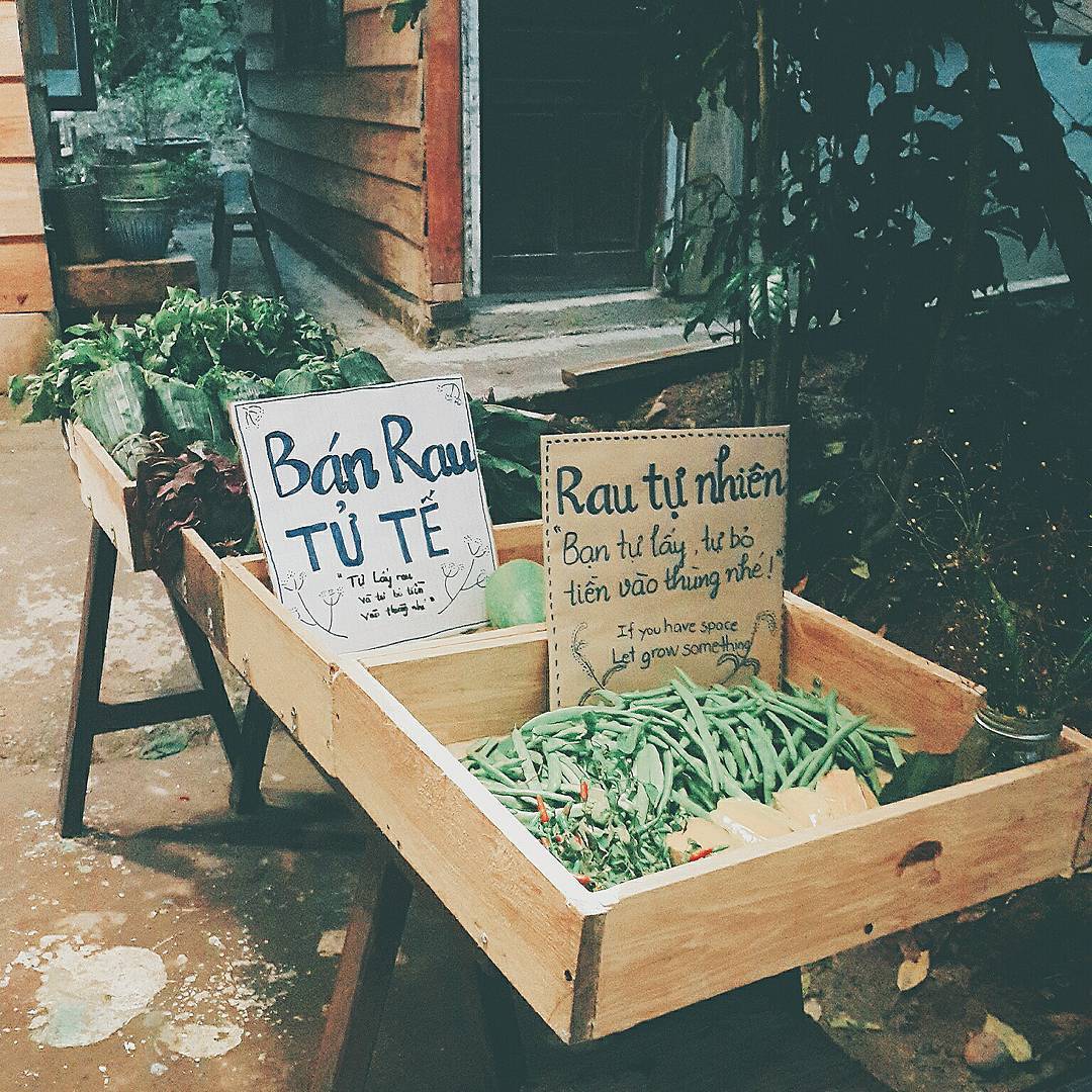 Quầy rau tự phục vụ với bảng hướng dẫn, chứa rau củ tươi xanh, được đặt tr&ecirc;n b&agrave;n gỗ ngo&agrave;i trời.