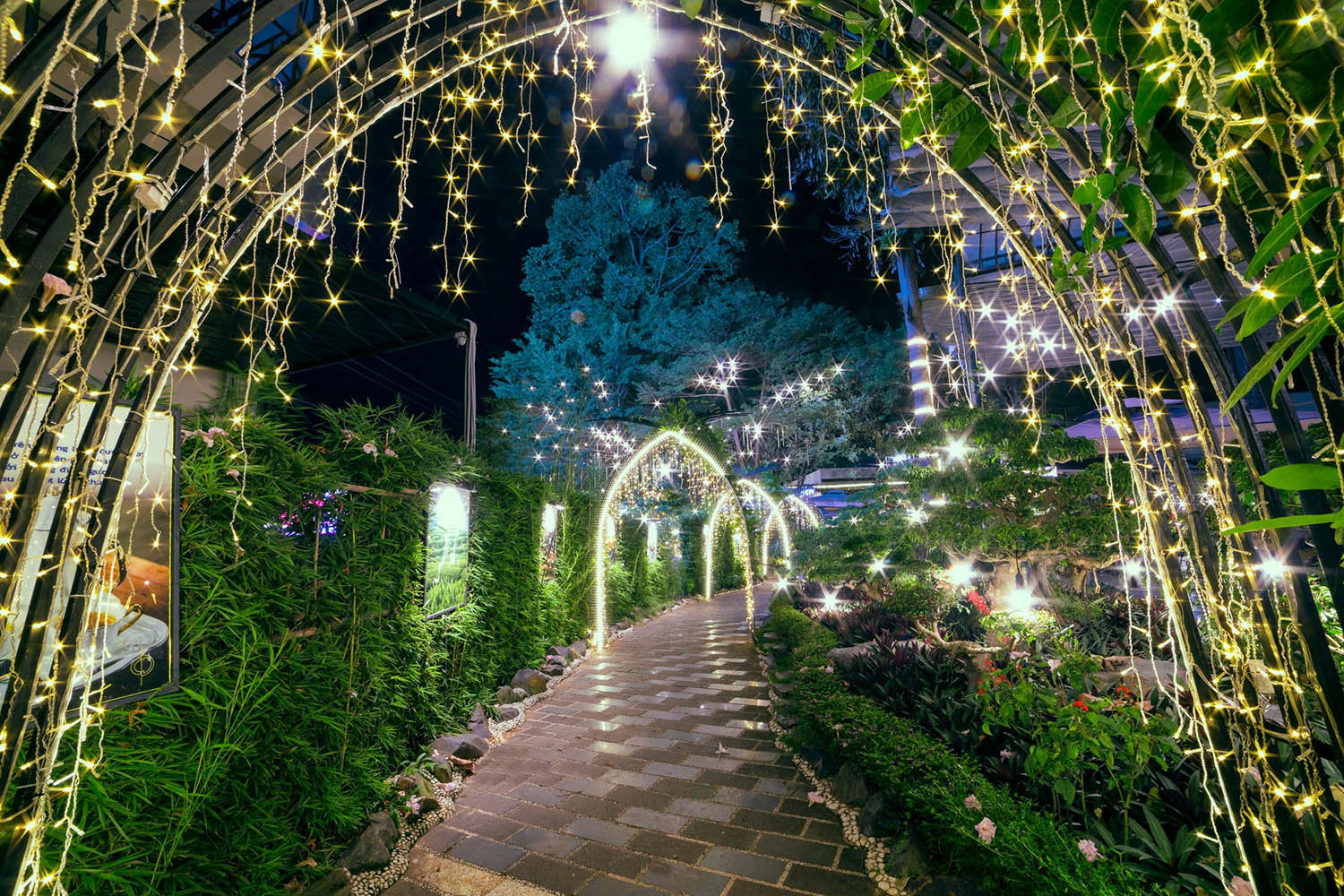 Con đường l&aacute;t gạch được trang tr&iacute; bằng &aacute;nh đ&egrave;n lấp l&aacute;nh v&agrave; c&acirc;y xanh hai b&ecirc;n v&agrave;o ban đ&ecirc;m.