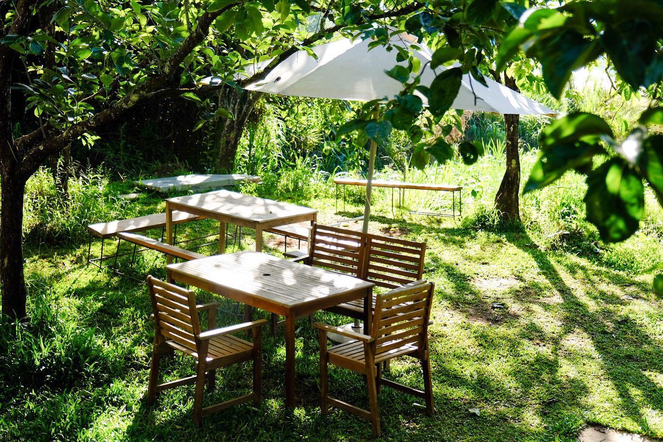 B&agrave;n ghế gỗ ngo&agrave;i trời dưới b&oacute;ng c&acirc;y xanh, c&oacute; &ocirc; che nắng, nằm giữa khu vườn xanh tươi v&agrave; &aacute;nh nắng mặt trời chiếu s&aacute;ng.