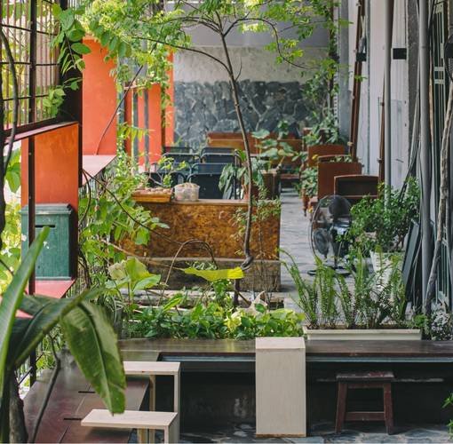 Quán cà phê sân vườn xanh mát với bàn ghế gỗ và cây cối, tạo không gian thư giãn, thoải mái.