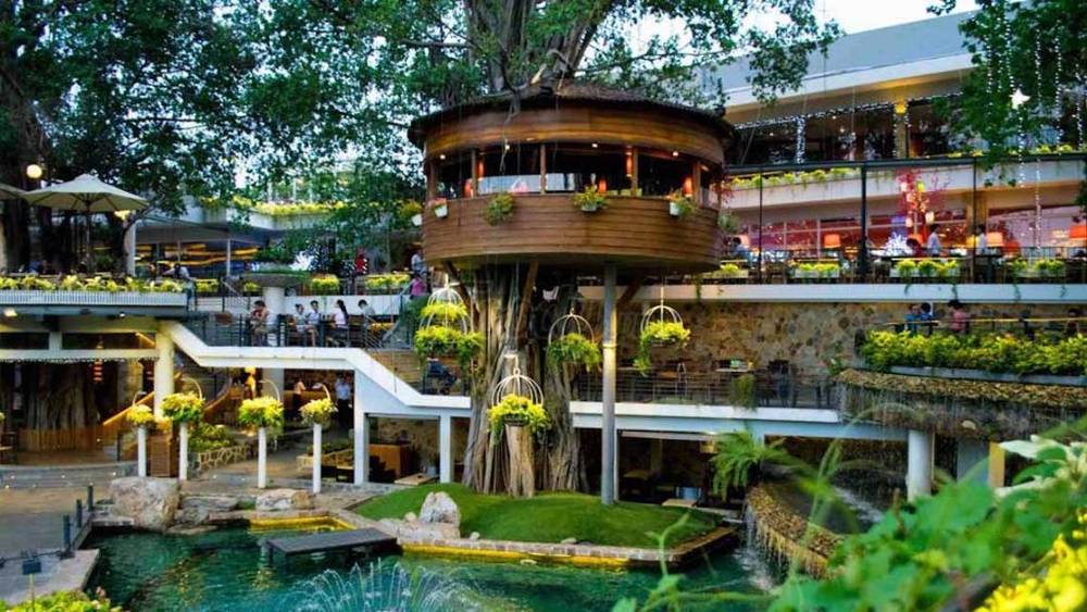 Nhà hàng trên cây với kiến trúc độc đáo, xung quanh là cây xanh và hồ nước, tạo cảm giác thoải mái và thư giãn.