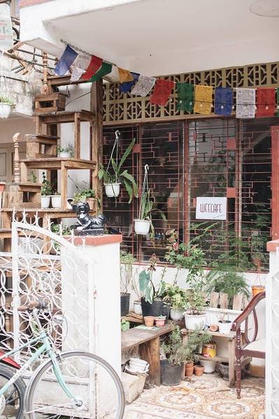 Qu&aacute;n c&agrave; ph&ecirc; nhỏ với c&acirc;y xanh v&agrave; cờ trang tr&iacute; b&ecirc;n ngo&agrave;i, c&oacute; biển "WeCafe" tr&ecirc;n cửa sổ.