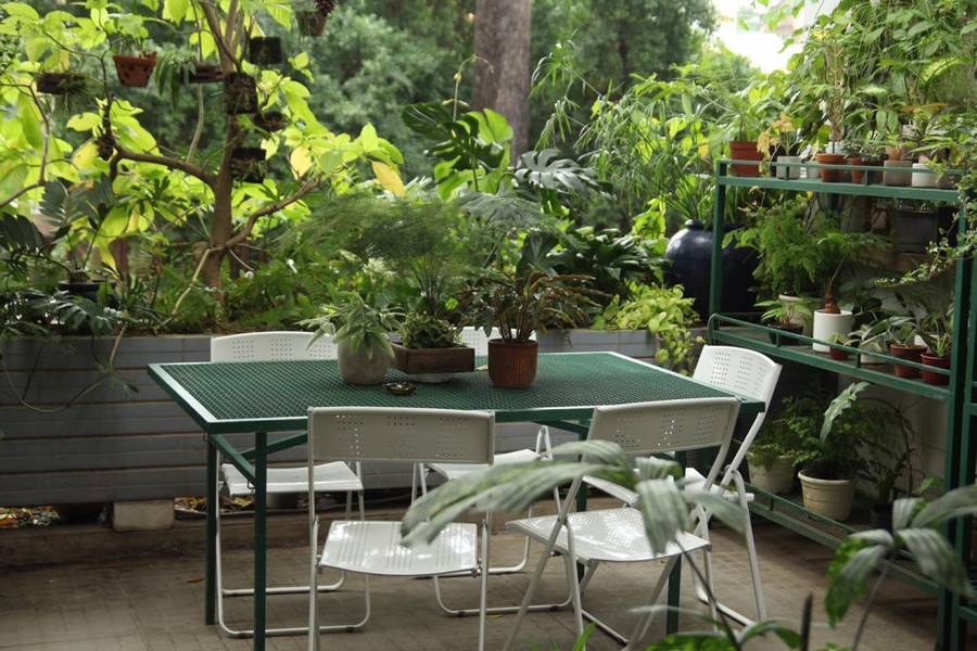 Bàn ghế ngoài trời với nhiều chậu cây xanh tươi xung quanh, tạo không gian thư giãn và gần gũi với thiên nhiên.