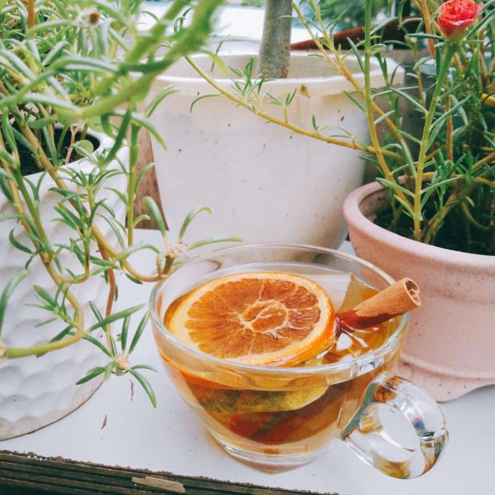 T&aacute;ch tr&agrave; với l&aacute;t cam v&agrave; thanh quế, đặt tr&ecirc;n b&agrave;n cạnh c&aacute;c chậu c&acirc;y xanh.