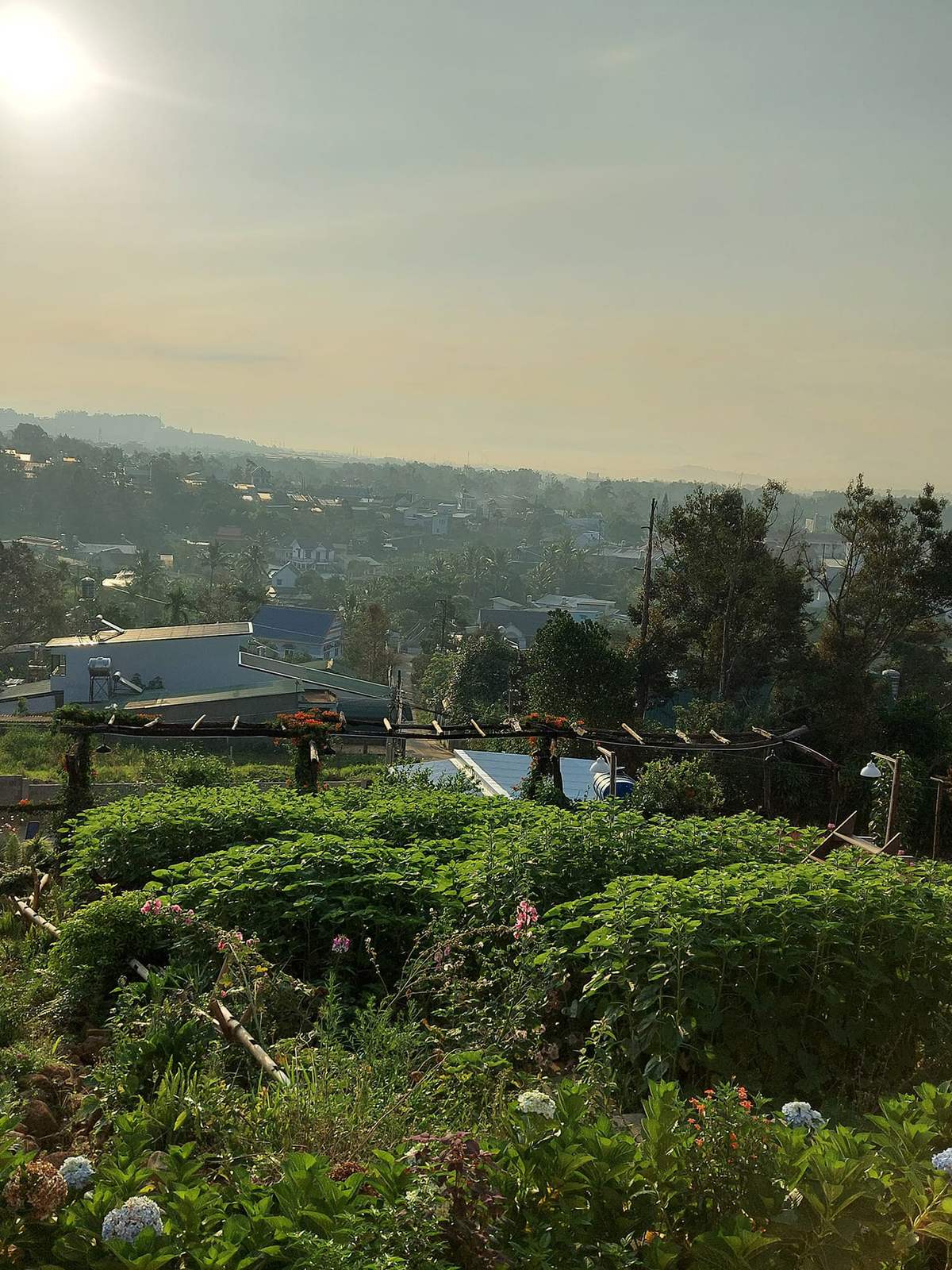 Khu vườn xanh tươi với hoa v&agrave; c&acirc;y cối, ph&iacute;a xa l&agrave; cảnh quan th&agrave;nh phố trong &aacute;nh nắng.