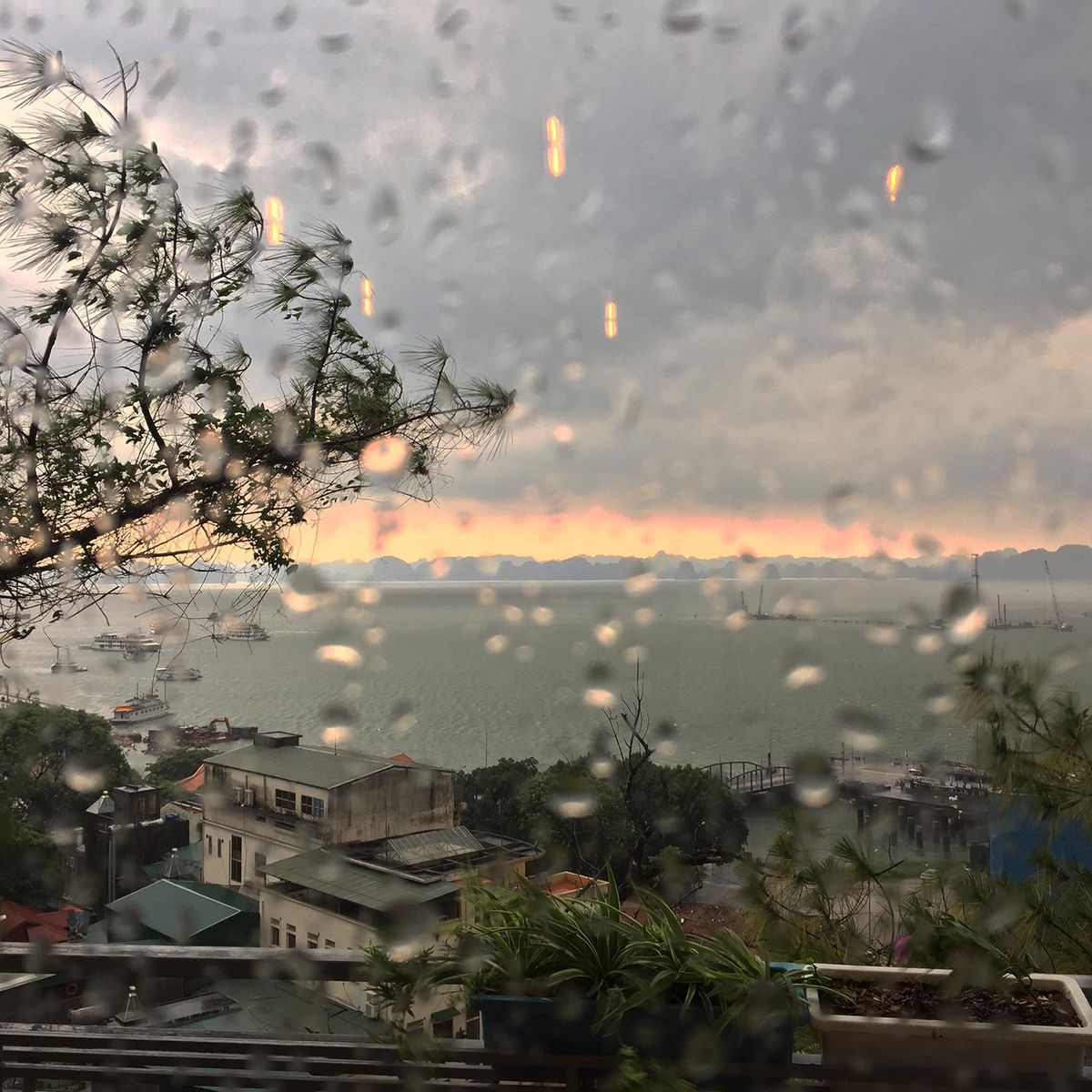 Khung cảnh biển qua cửa k&iacute;nh mưa, với c&acirc;y cối v&agrave; một số t&ograve;a nh&agrave; ph&iacute;a trước, bầu trời m&acirc;y x&aacute;m.