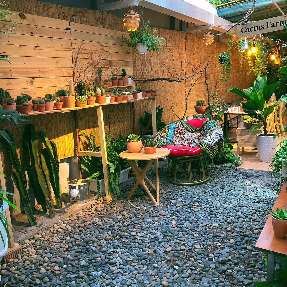 Góc sân vườn với ghế thư giãn, bàn nhỏ và nhiều chậu cây xương rồng, cây xanh trang trí, ánh sáng ấm áp.