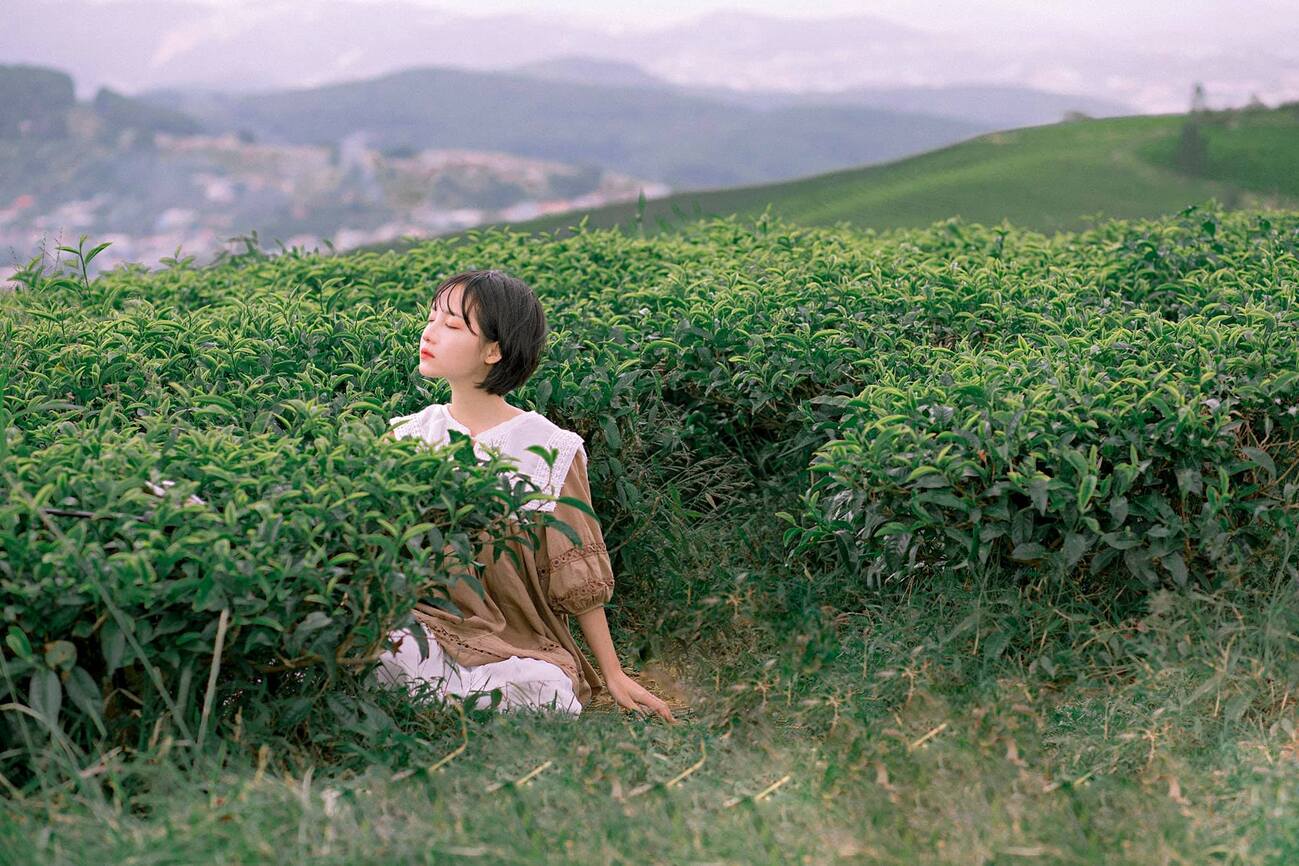 Người ngồi trong vườn chè xanh mướt, xung quanh là cảnh vật núi đồi trải dài phía xa.