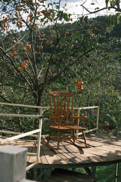 Ghế gỗ bập b&ecirc;nh tr&ecirc;n s&agrave;n gỗ ngo&agrave;i trời, ph&iacute;a sau l&agrave; c&acirc;y cối xanh tươi v&agrave; c&acirc;y trĩu quả cam.