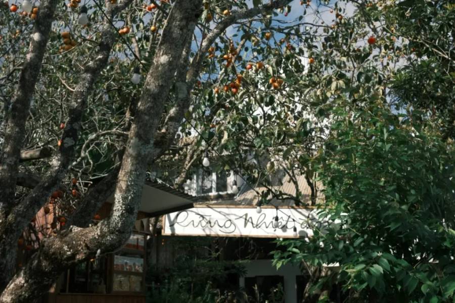 C&acirc;y cối xanh tươi với tr&aacute;i ch&iacute;n mọng trước một t&ograve;a nh&agrave; c&oacute; m&aacute;i che m&agrave;u trắng. C&oacute; bảng hiệu chữ viết tay.