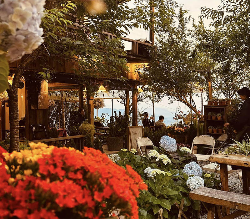 Qu&aacute;n c&agrave; ph&ecirc; ngo&agrave;i trời với c&acirc;y cối xanh tươi v&agrave; hoa nhiều m&agrave;u sắc, &aacute;nh đ&egrave;n ấm &aacute;p v&agrave;o buổi tối.