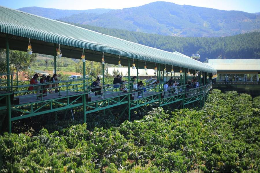 Cầu gỗ c&oacute; m&aacute;i che dẫn qua vườn c&acirc;y xanh tươi, với nhiều người đang đi dạo v&agrave; ngắm cảnh n&uacute;i non trong nền.