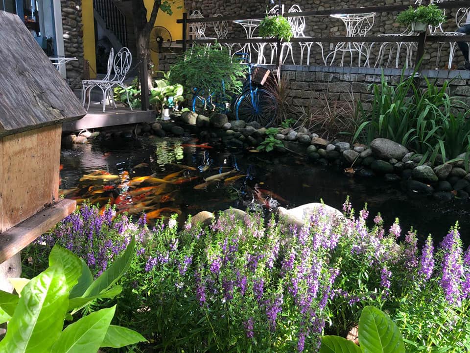 Hồ c&aacute; nhỏ với c&aacute; Koi, xung quanh l&agrave; hoa t&iacute;m v&agrave; b&agrave;n ghế ngo&agrave;i trời bằng kim loại, tạo kh&ocirc;ng gian thư gi&atilde;n.