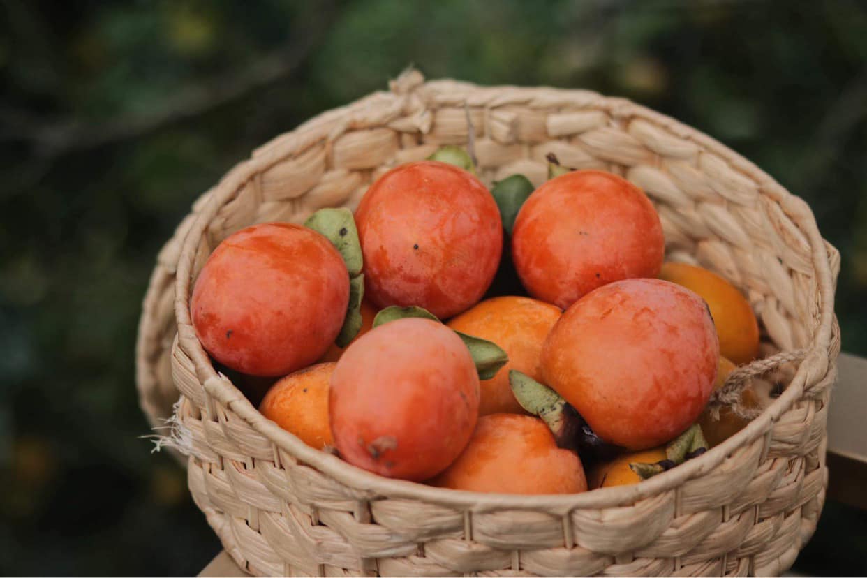 Giỏ đựng nhiều quả m&agrave;u cam ch&iacute;n mọng với l&aacute; xanh, đặt tr&ecirc;n nền mờ tự nhi&ecirc;n.