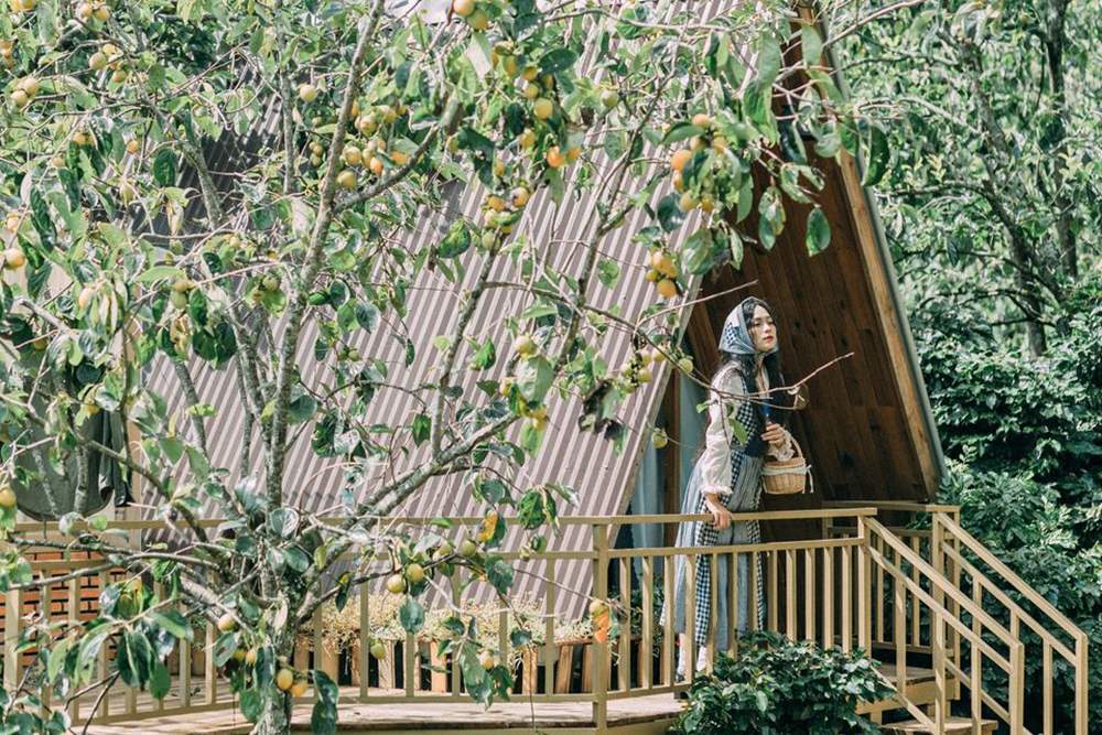 Người đứng tr&ecirc;n ban c&ocirc;ng gỗ, b&ecirc;n cạnh l&agrave; c&acirc;y c&oacute; tr&aacute;i, trước một ng&ocirc;i nh&agrave; m&aacute;i tam gi&aacute;c v&agrave; nền c&acirc;y xanh.