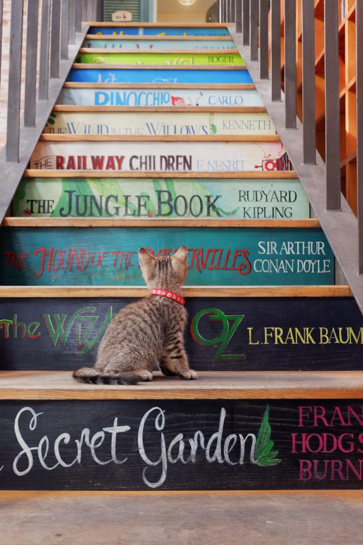 Ch&uacute; m&egrave;o đeo v&ograve;ng cổ đỏ đang nh&igrave;n l&ecirc;n cầu thang được trang tr&iacute; với t&ecirc;n c&aacute;c cuốn s&aacute;ch nổi tiếng.