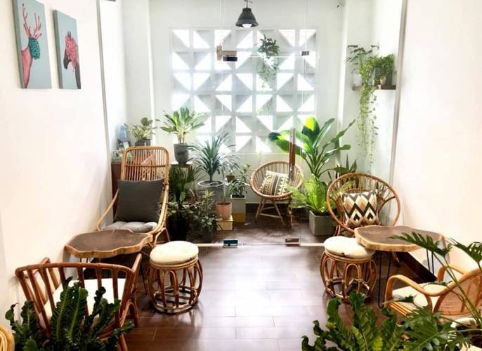 Phòng trà nhỏ với ghế mây, cây xanh và ánh sáng tự nhiên, tạo không gian thư giãn và tươi mát.