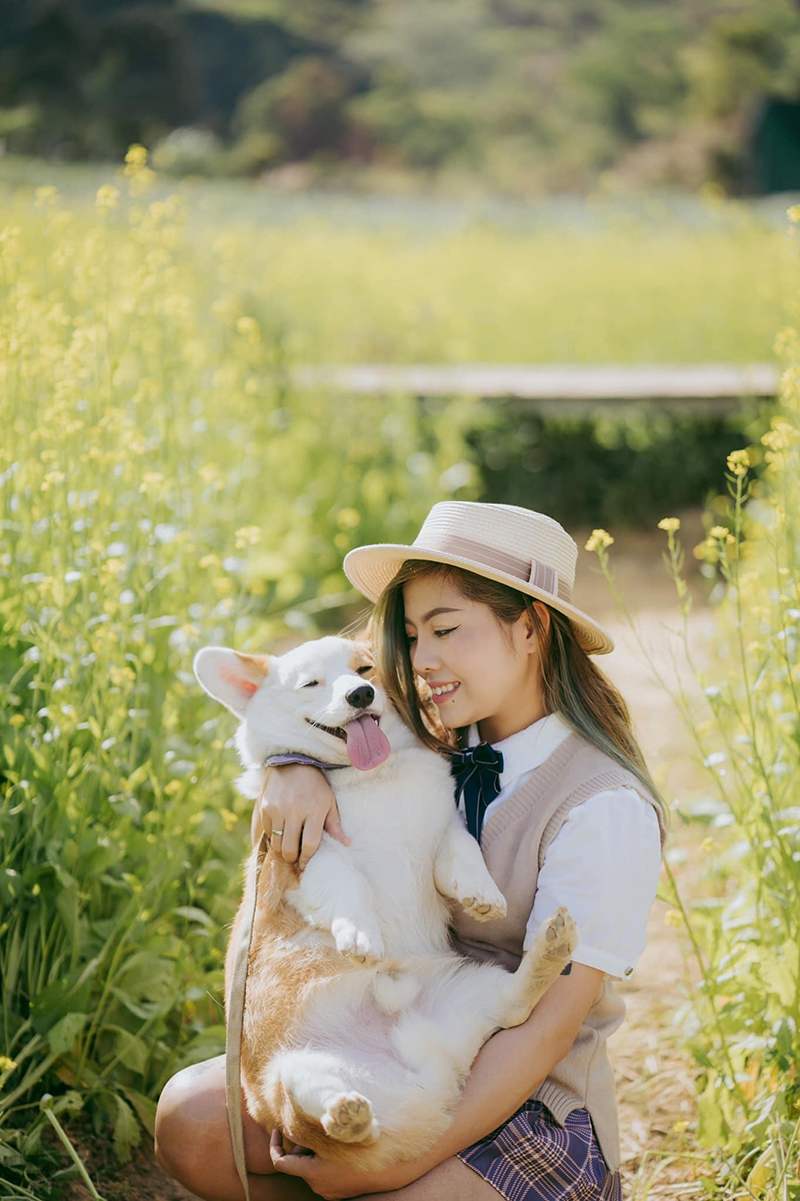 Người đội mũ &ocirc;m ch&oacute; corgi trong vườn hoa v&agrave;ng, cả hai đều cười vui vẻ.