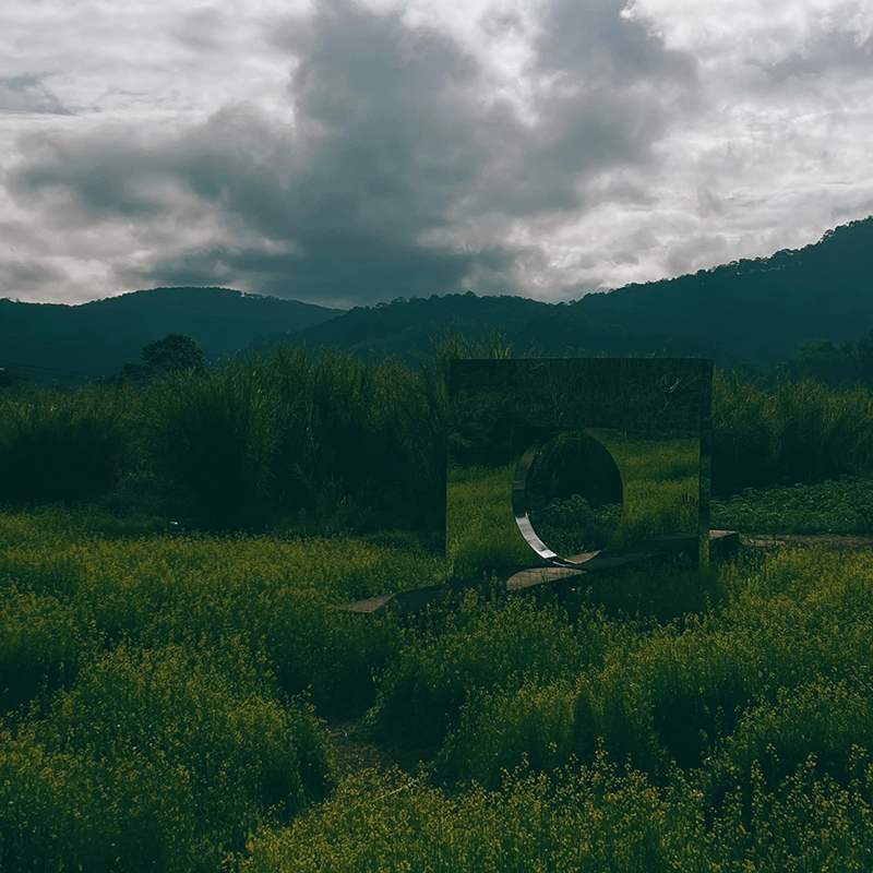 C&aacute;nh đồng hoa v&agrave;ng dưới bầu trời nhiều m&acirc;y, với cấu tr&uacute;c h&igrave;nh chữ nhật c&oacute; lỗ tr&ograve;n ở giữa.