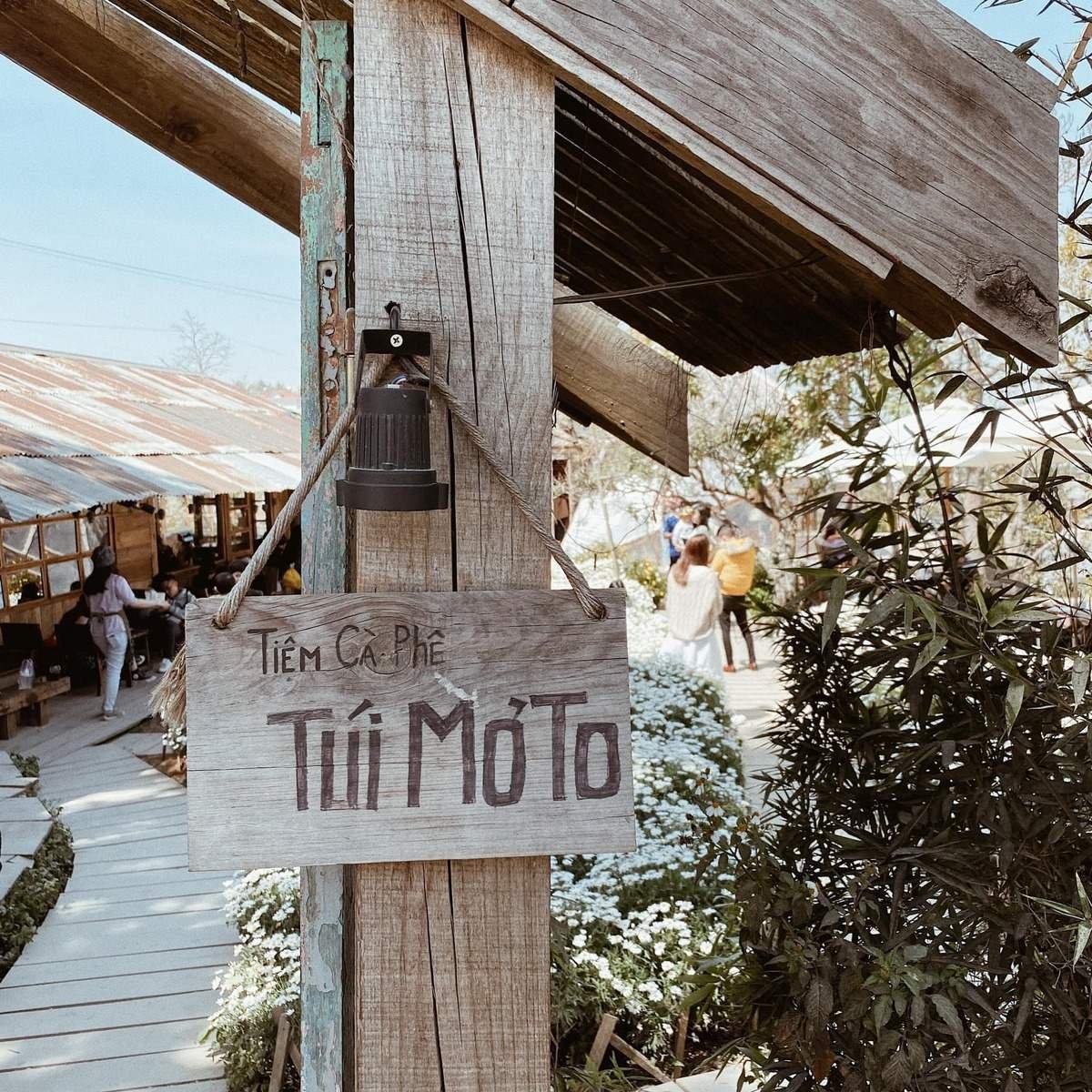 Biển gỗ Tiệm Cà Phê Túi Mơ To treo trước quán cà phê ngoài trời với không gian xanh mát.