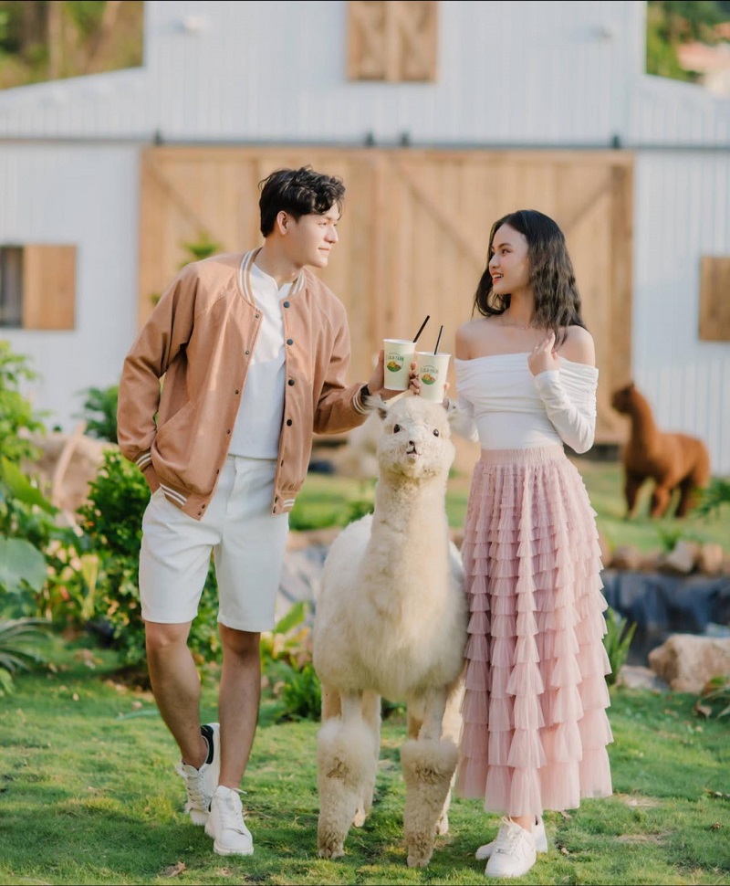 Hai người đứng cạnh một con lạc đà Alpaca trắng, cầm đồ uống, trong khuôn viên có cỏ và nhà gỗ phía sau.