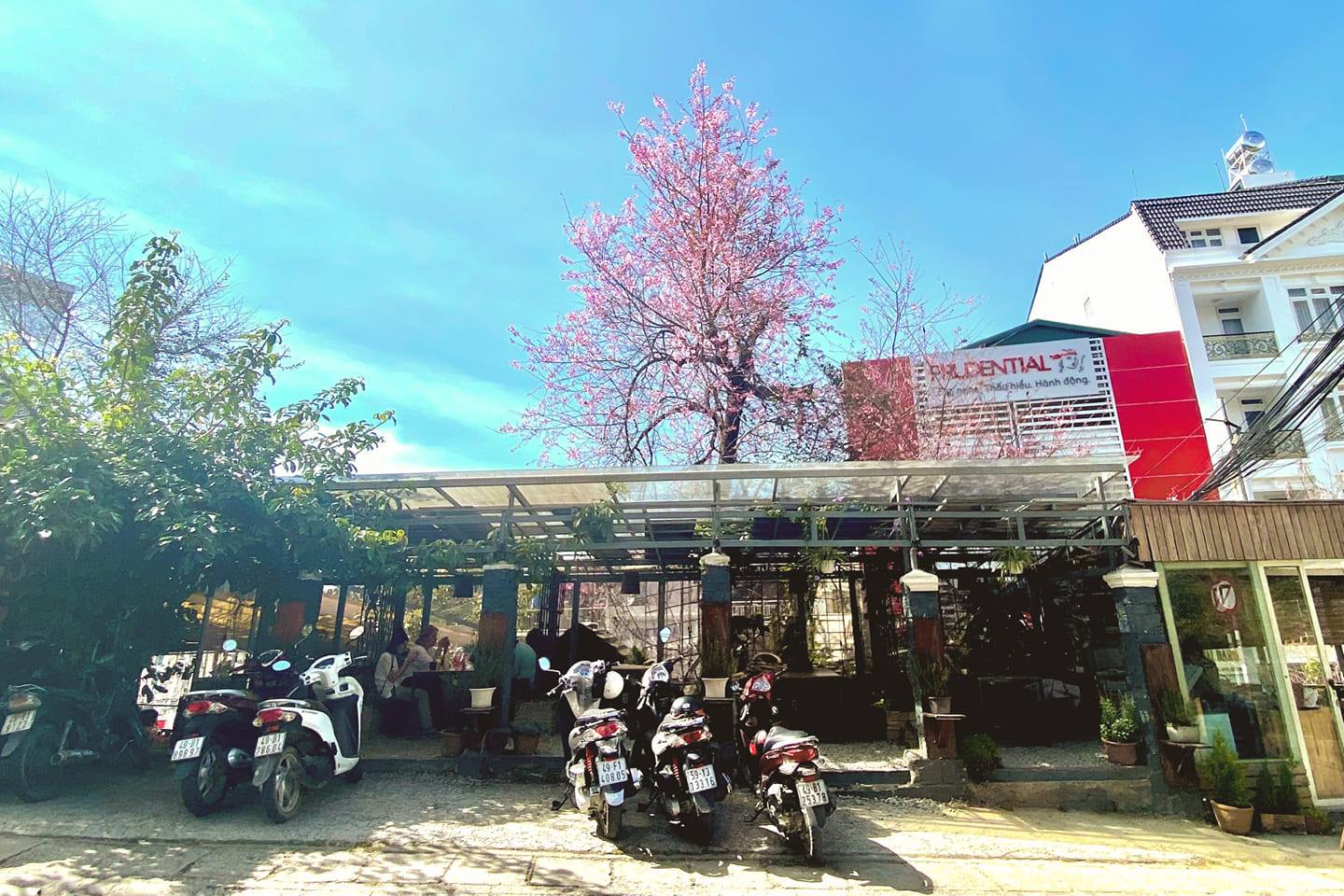 An Coffee – Chốn bình yên xanh thẳm cho những tâm hồn mỏng manh 3