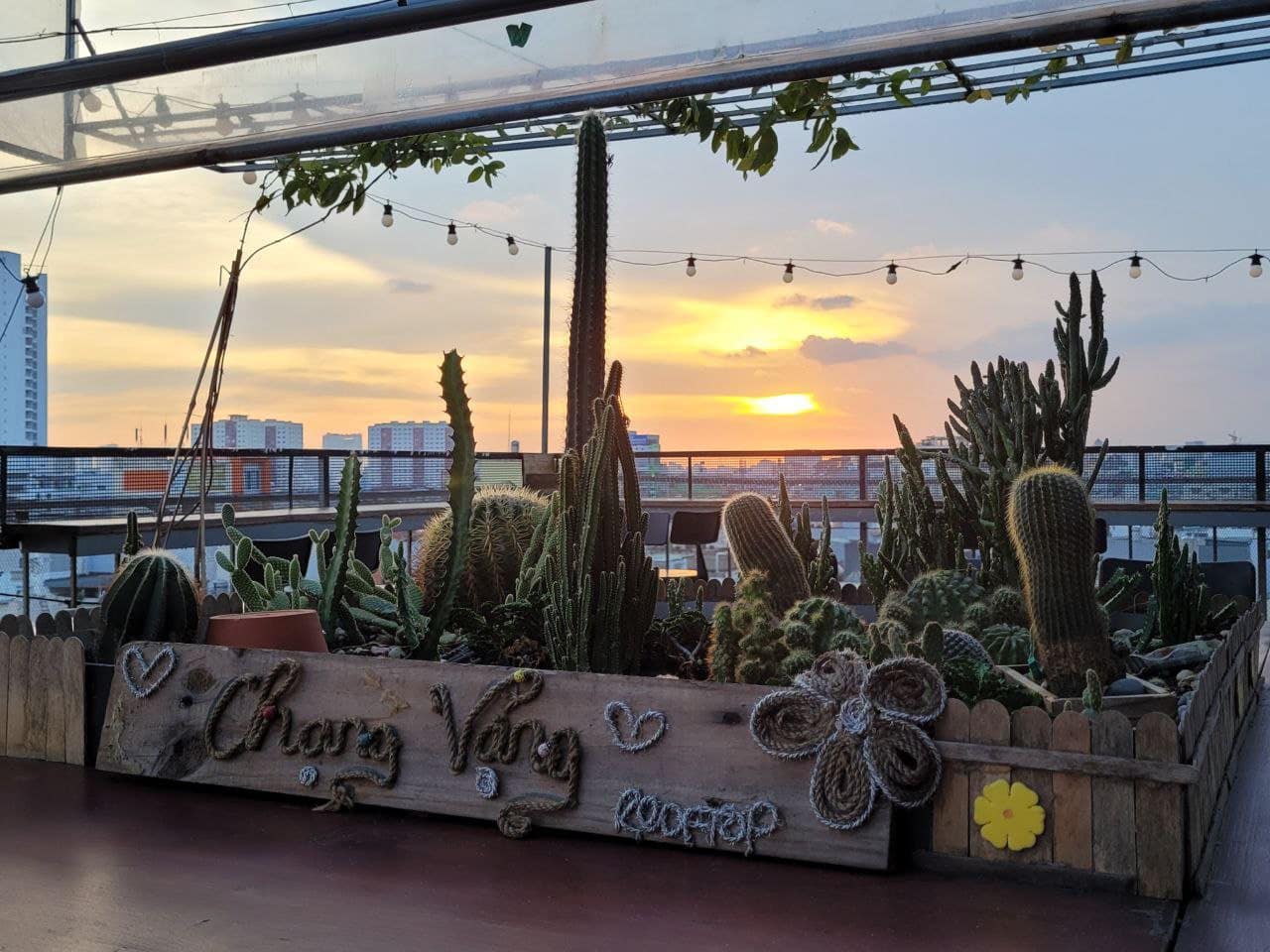 Rung động với Chạng Vạng Rooftop, một góc yên bình giữa đô thị tấp nập 6