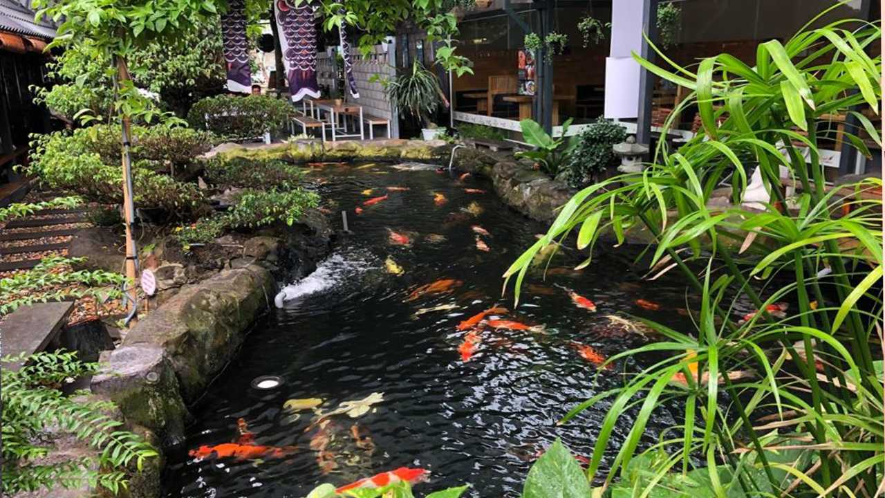 Check-in Quán cafe không gian đẹp Cần Thơ cực kỳ sang chảnh 9