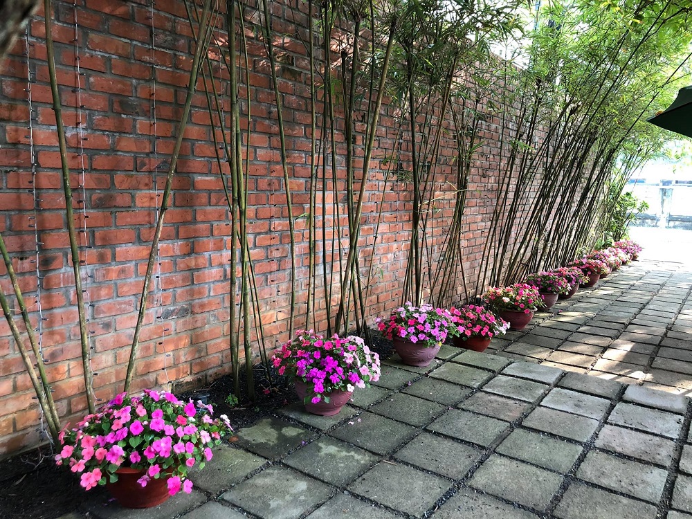 Đến F coffee Quảng Bình chìm đắm vào không gian cà phê lãng mạn 4