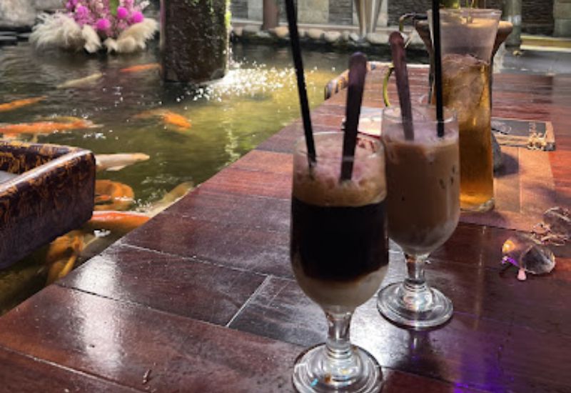 Khám phá Oasis Cafe: Một góc thiên nhiên giữa lòng thành phố 6