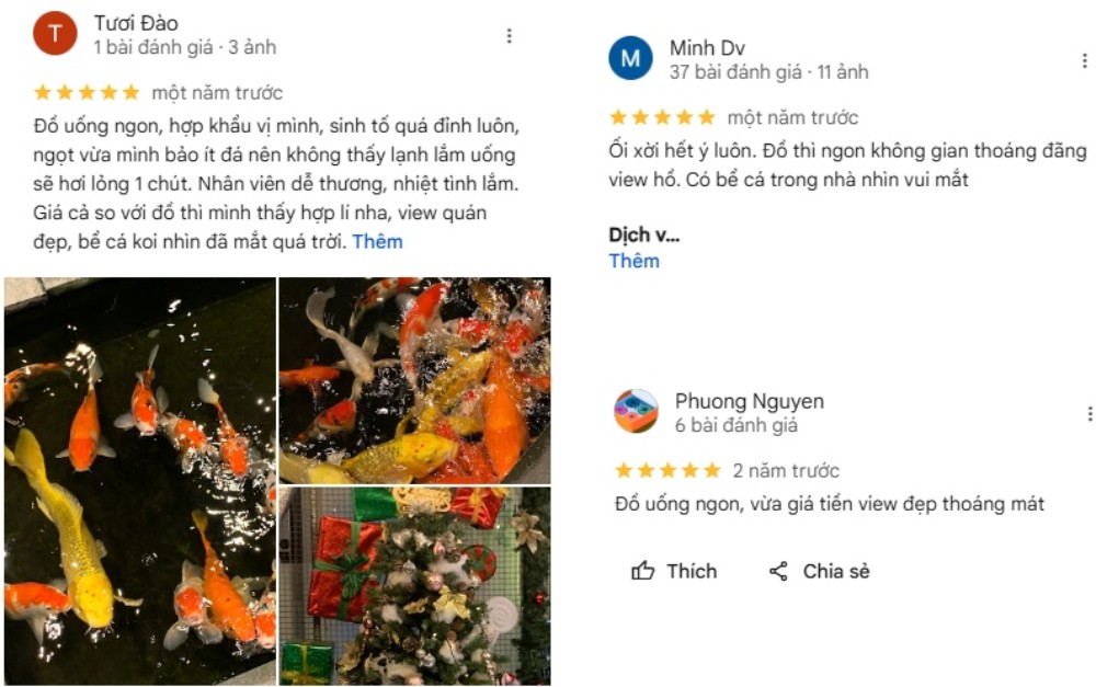 Khám Phá Garden Coffee Đội Cấn: Không Gian Yên Tĩnh Giữa Lòng Thủ Đô 13 Ba ảnh: cá koi trong hồ, cây trang trí và đánh giá tích cực về đồ uống và không gian quán.
