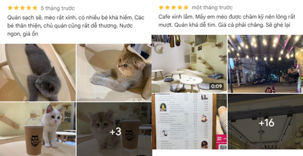 Khám Phá 8 Quán Cafe Mèo TPHCM: Thiên Đường Cho Tín Đồ Yêu Mèo 24 Hình ảnh quán cà phê với mèo và đồ uống, không gian sáng sủa, trang trí đơn giản và thực đơn đồ uống.