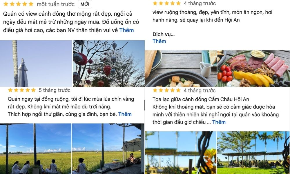 Khám Phá Hơn 10 Quán Cafe Đẹp Ở Hội An Cho Góc Sống Ảo Triệu Like 10 Các hình ảnh và đánh giá về một quán cà phê giữa cánh đồng, với khung cảnh thiên nhiên và các món ăn.