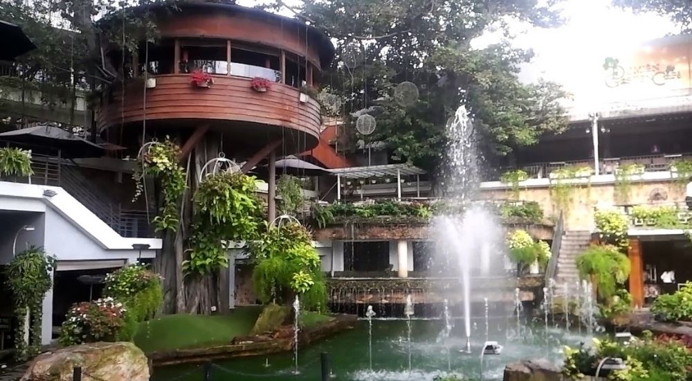 Khám Phá 10 Quán Cafe Gò Vấp Với Góc "Hidden Gem" Độc Đáo 3 Quán cà phê trên cây với kiến trúc gỗ, xung quanh nhiều cây xanh và đài phun nước ở phía trước.
