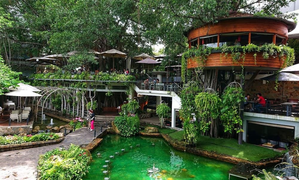 Khám Phá Du Miên Garden Cafe: Địa Điểm Độc Đáo Ngắm Sài Gòn Từ Trên Cao 4 Khu vườn xanh mát với nhà trên cây, hồ nước và lối đi bộ, tạo không gian thư giãn và gần gũi với thiên nhiên.