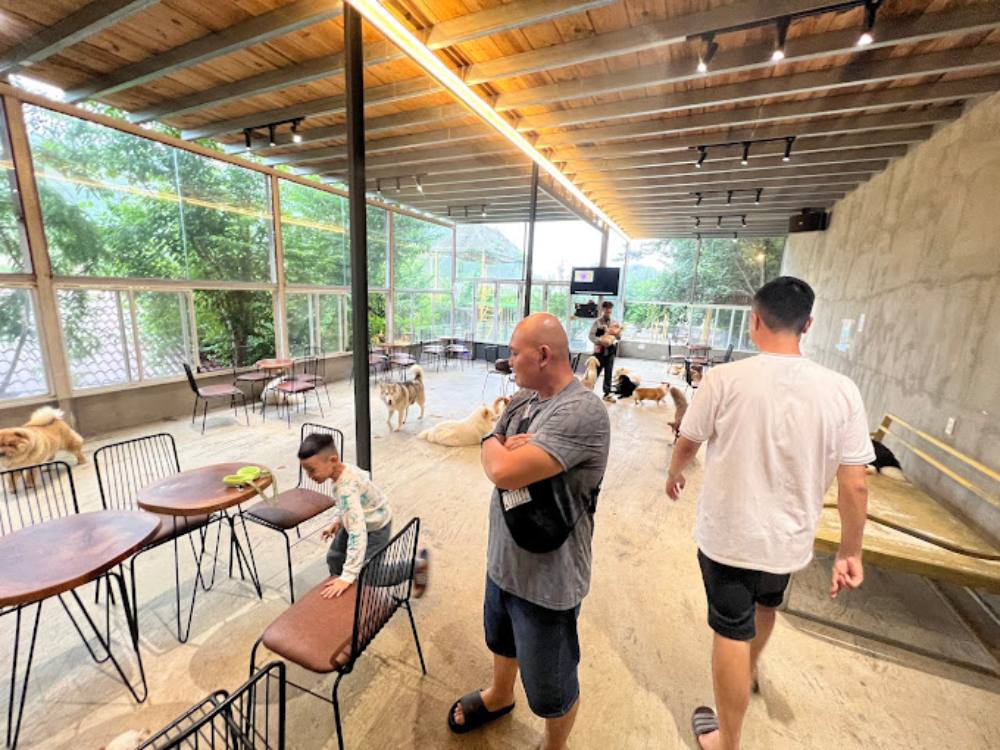 Khám Phá 8 Quán Cafe Mèo TPHCM: Thiên Đường Cho Tín Đồ Yêu Mèo 25 Quán cà phê có người và trẻ em, nhiều chó cưng, bàn ghế gỗ, không gian sáng với cửa kính lớn và cây xanh bên ngoài.