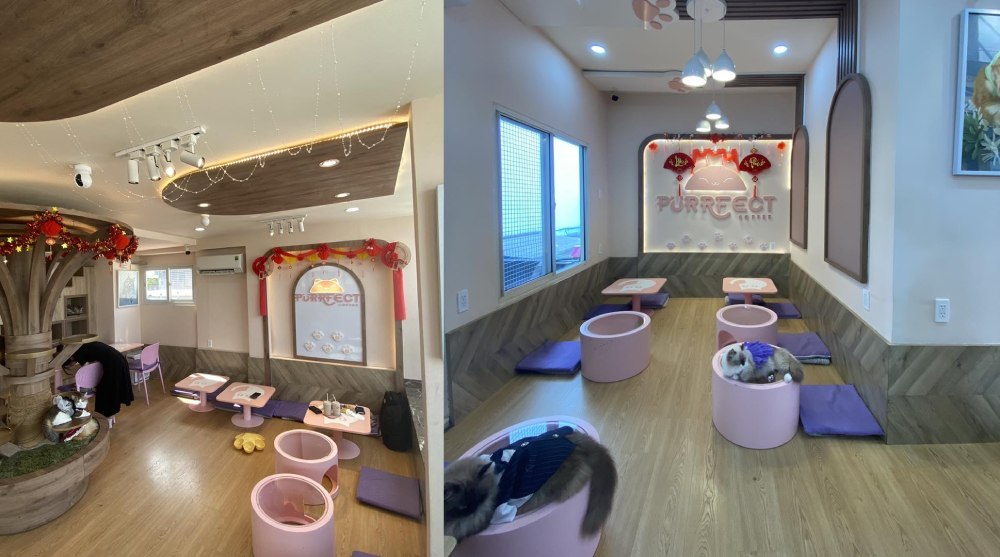 Khám Phá 8 Quán Cafe Mèo TPHCM: Thiên Đường Cho Tín Đồ Yêu Mèo 14 Quán cà phê trang trí ấm cúng, có bàn ghế màu hồng và khu vực cho mèo nằm nghỉ ngơi.