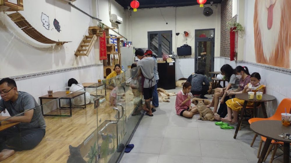 Khám Phá 8 Quán Cafe Mèo TPHCM: Thiên Đường Cho Tín Đồ Yêu Mèo 10 Quán cà phê thú cưng, khách ngồi uống nước và chơi với chó. Nội thất trang trí dễ thương với tranh tường và đèn lồng.