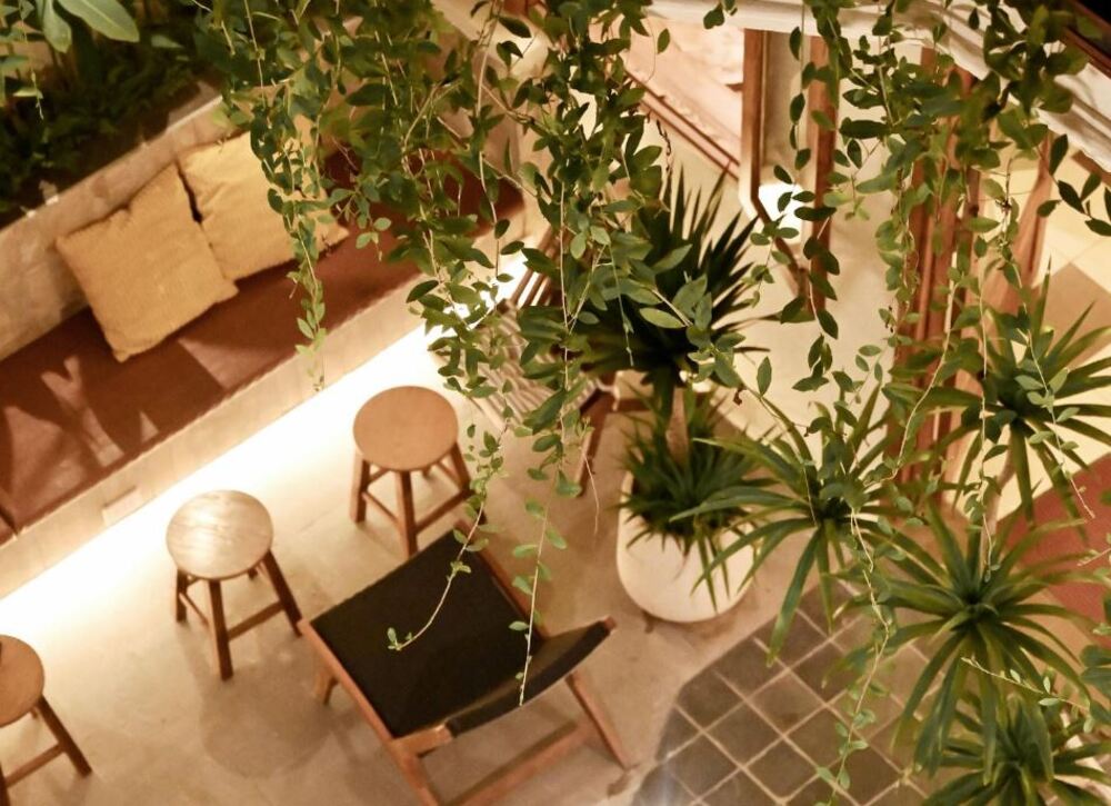 Góc nhìn từ trên cao của không gian quán cà phê với ghế gỗ và cây xanh trang trí, tạo cảm giác thoải mái.