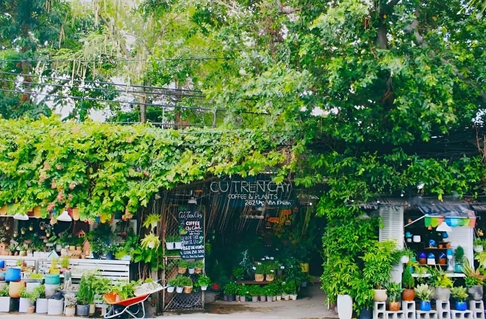 Khám Phá Cú Trên Cây Coffee: Không Gian Đà Lạt Giữa Lòng Sài Gòn 5 Quán cà phê với cây xanh bao quanh, nhiều chậu cây trang trí phía trước, có biển hiệu viết tay.