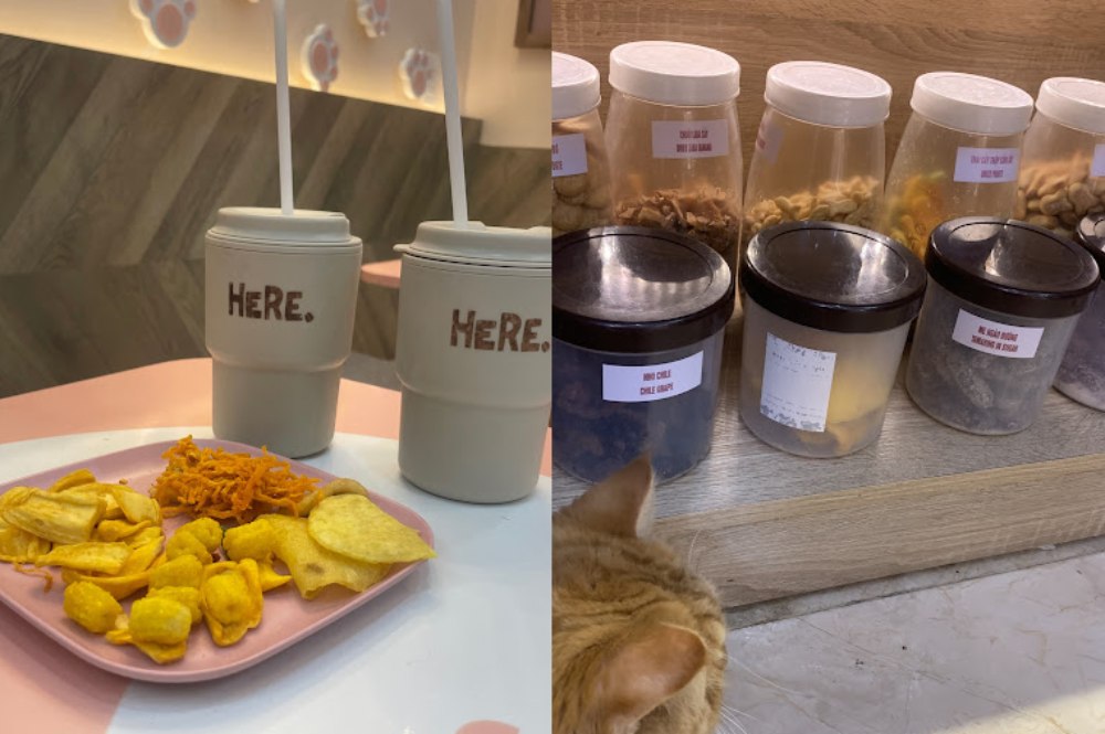 Khám Phá 8 Quán Cafe Mèo TPHCM: Thiên Đường Cho Tín Đồ Yêu Mèo 16 Hai ly nước có ống hút trên bàn cạnh đĩa snack, bên cạnh là các hũ đựng hạt và một con mèo phía dưới.
