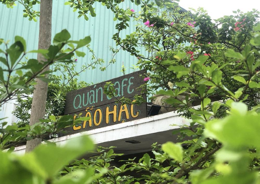 12 Quán Cafe Sài Gòn Xưa Hấp Dẫn Nhất định Phải Thử 20 Tấm bảng có dòng chữ "Quán Cafe Lão Hạc" nằm dưới tán cây xanh, phía trên là tường màu xanh lam.