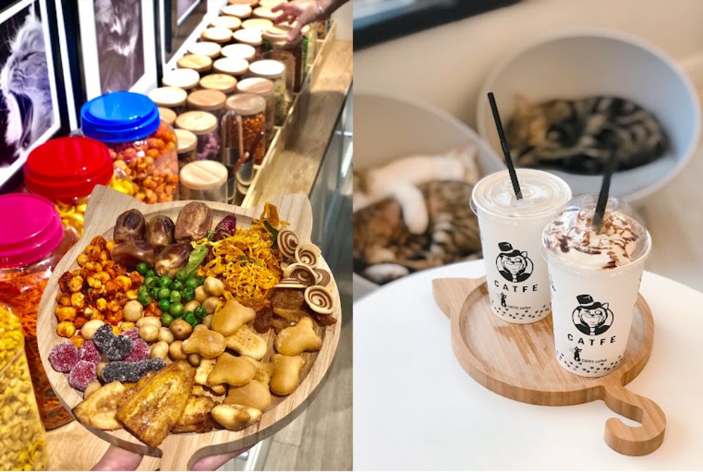 Khám Phá 8 Quán Cafe Mèo TPHCM: Thiên Đường Cho Tín Đồ Yêu Mèo 4 Một đĩa đồ ăn nhẹ đa dạng và hai ly đồ uống trên khay gỗ, với nền là mèo đang nằm ngủ.
