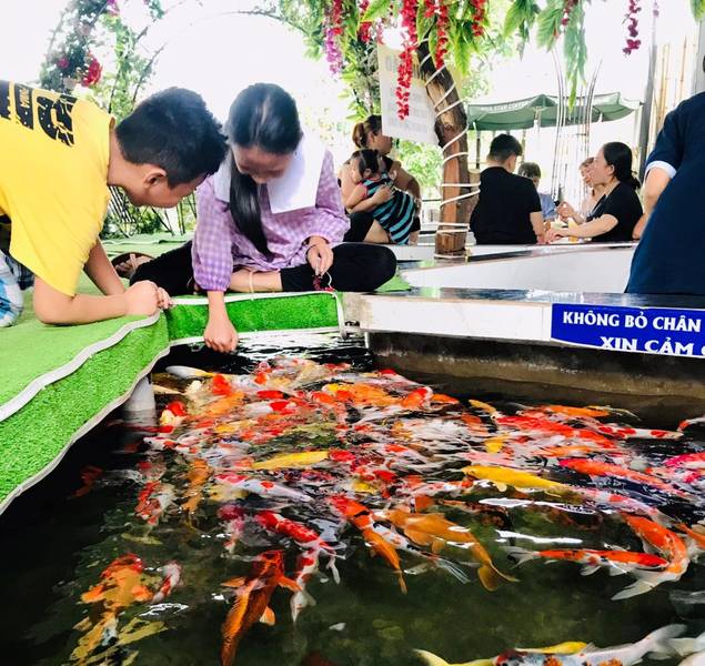 Hai người đang cho c&aacute; koi ăn tại một hồ c&aacute;, xung quanh c&oacute; nhiều người ngồi nghỉ ngơi.