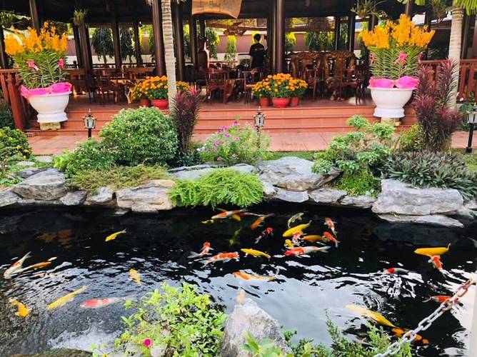 Ao c&aacute; koi với nhiều c&acirc;y cảnh v&agrave; hoa xung quanh, ph&iacute;a sau l&agrave; một qu&aacute;n c&agrave; ph&ecirc; với b&agrave;n ghế gỗ.
