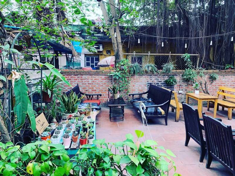 cafe-sach-ha-noi-12 Khu vườn ngoài trời với bàn ghế gỗ, cây xanh và đèn dây treo, tạo không gian thư giãn và gần gũi với thiên nhiên.