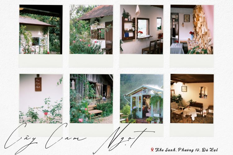 cafe Đ&agrave; Lạt