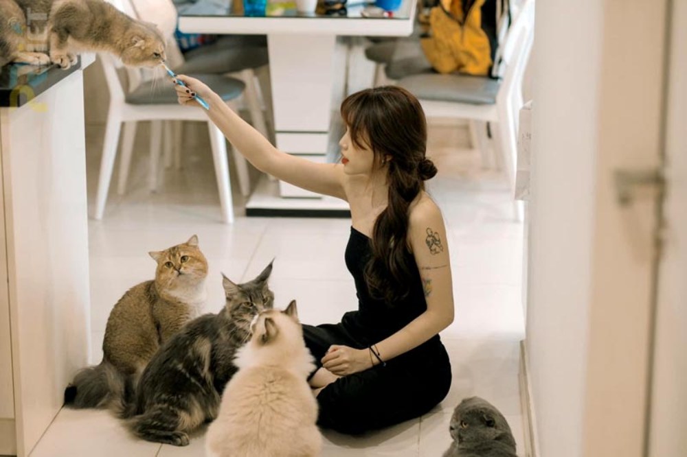 Khám Phá 8 Quán Cafe Mèo TPHCM: Thiên Đường Cho Tín Đồ Yêu Mèo 33 Người đang ngồi trên sàn nhà chơi với một nhóm mèo, một con đang ăn từ tay người đó.