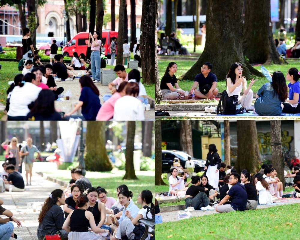 Nhiều nh&oacute;m người ngồi tr&ograve; chuyện v&agrave; thư gi&atilde;n tr&ecirc;n b&atilde;i cỏ trong c&ocirc;ng vi&ecirc;n, xung quanh l&agrave; c&acirc;y xanh v&agrave; lối đi bộ.