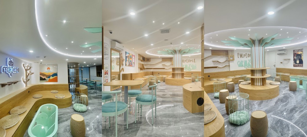 Khám Phá 8 Quán Cafe Mèo TPHCM: Thiên Đường Cho Tín Đồ Yêu Mèo 29 Quán cà phê với thiết kế hiện đại, nội thất gỗ và ghế ngồi xanh, ánh sáng dịu, không gian thoáng đãng.